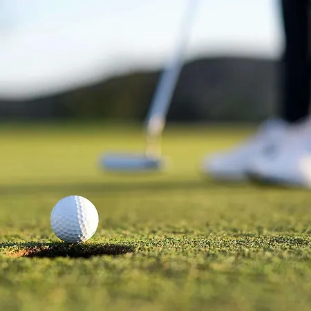 Le Domaine Des Vanneaux Golf Et Mgallery 4*